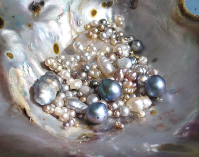 Discover the Origin of Baroque Pearls (2)