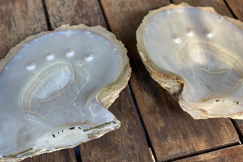 Processing Technology Of Natural Pearls: Cutting, Polishing And Design