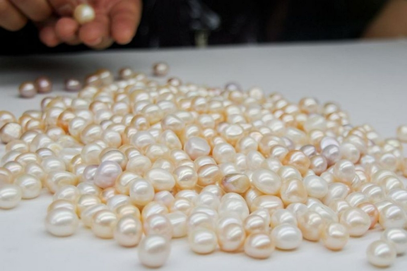 Design Inspiration For Natural Pearls Of Different Shapes