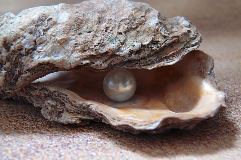 Natural Pearl Wholesale7