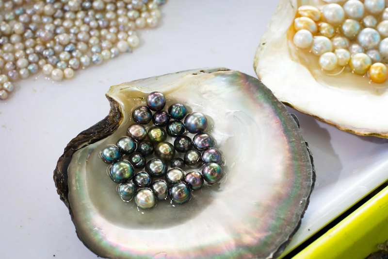 Natural Pearl Wholesale8