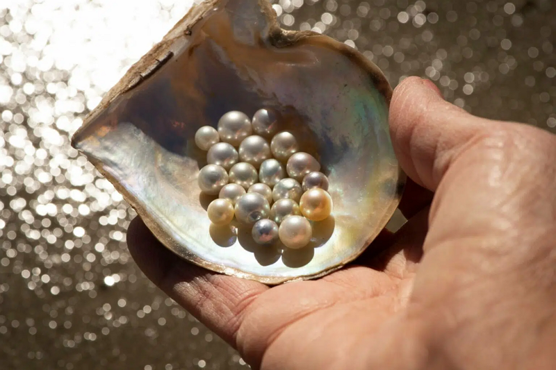 Natural Pearl Wholesale12
